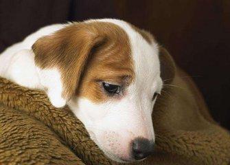 期货的本质是想象力,期货情绪节点