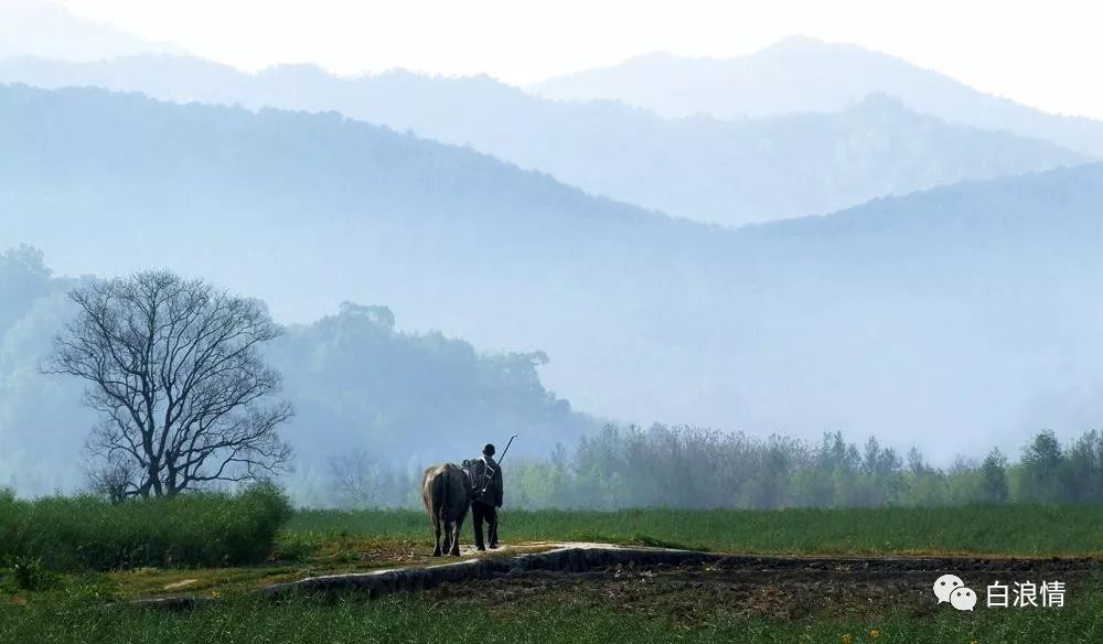 鍘熷垱棣栧彂鏂版瓕,鍘熷垱棣栧彂绛剧害
