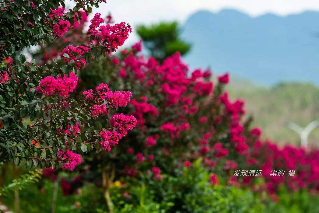 清远止林温泉民宿多少钱一晚,清远独立温泉民宿度假村排名榜