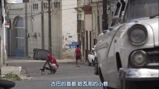 吸猫最高境界图片,吸猫最高境界完整视频