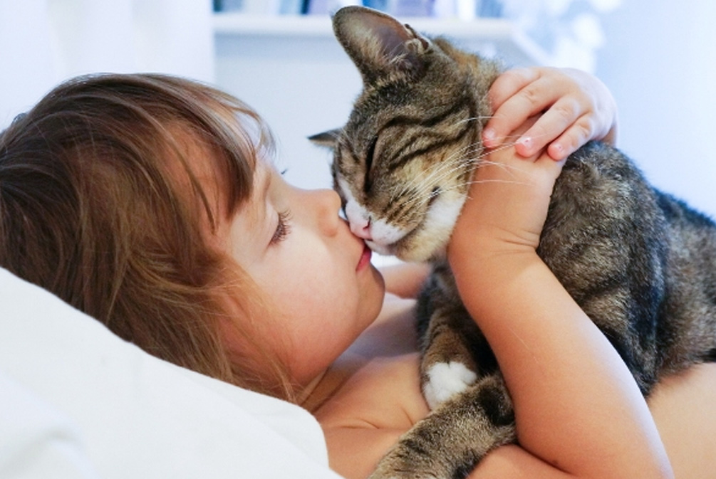 猫咪上呼吸道感染雾化配方,猫咪上呼吸道感染最快最好方法