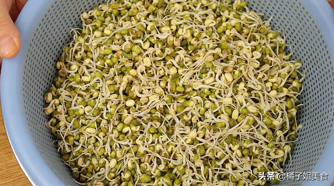 生豆芽的方法教程,生豆芽的方法和技术