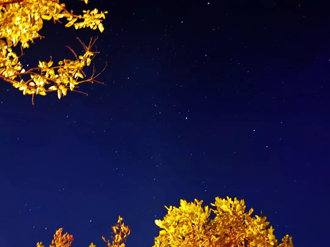 南通大学杏林学院多大面积,南通大学杏林学院排名