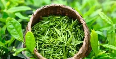 有一次签证豁免再入境会有麻烦吗,带了濒危物种入境