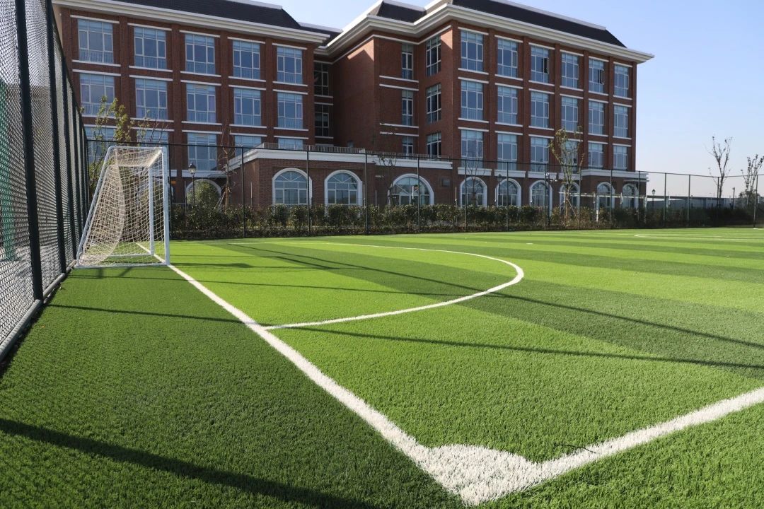 南京外国语学校排行,南京最隐秘的一所大学