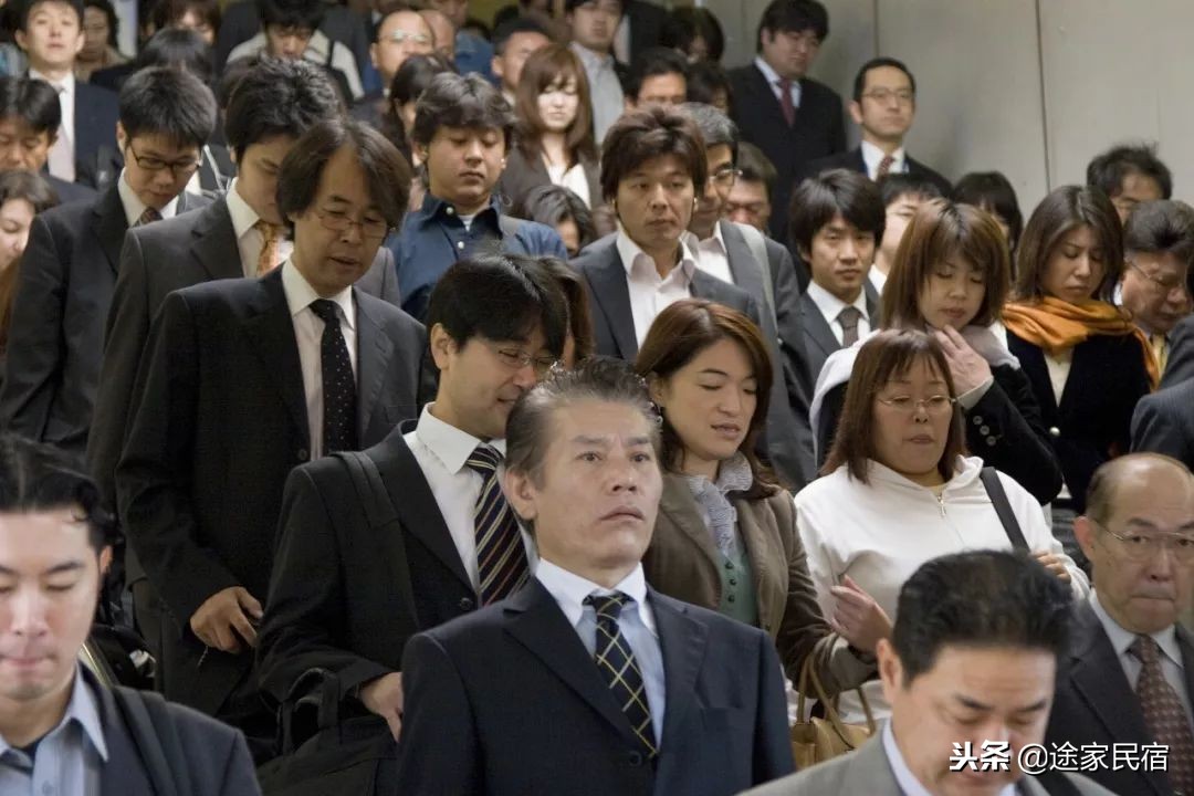 代购内幕视频,日本代购被骗怎么处理