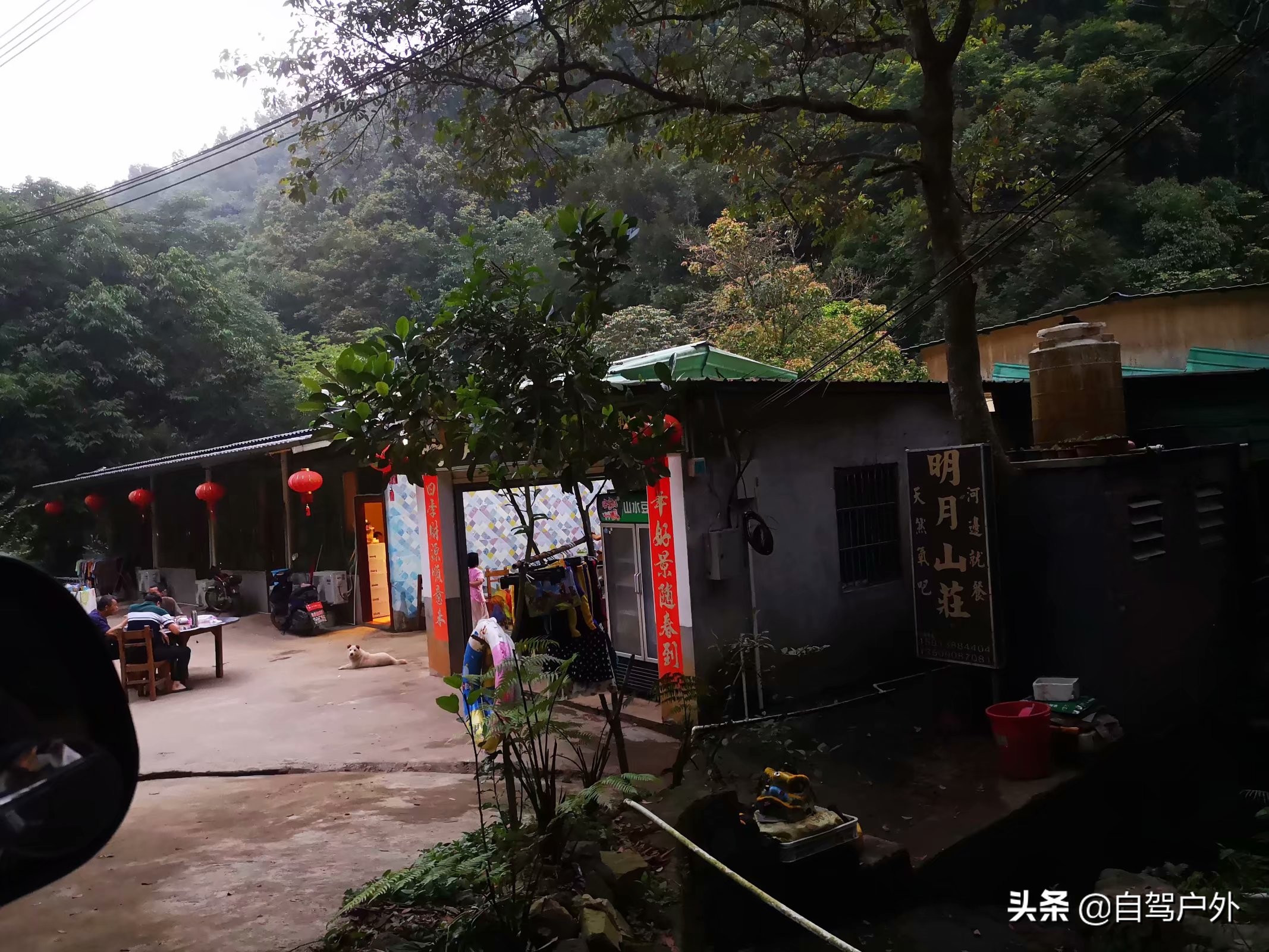惠州明月山庄露营,罗浮山休闲竹林露营地