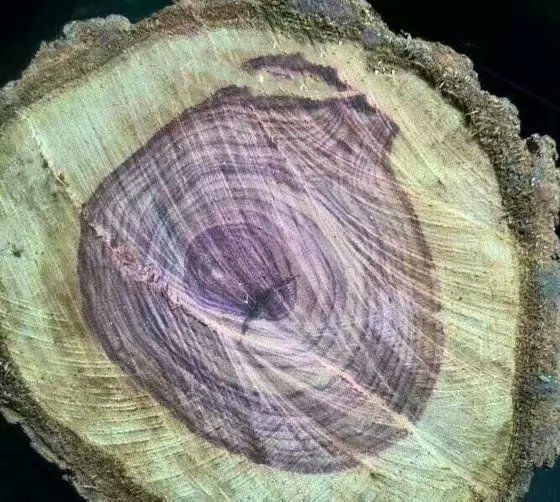 海南黄花梨和小叶紫檀金丝楠木,缅甸花梨和海南黄花梨的图片对比