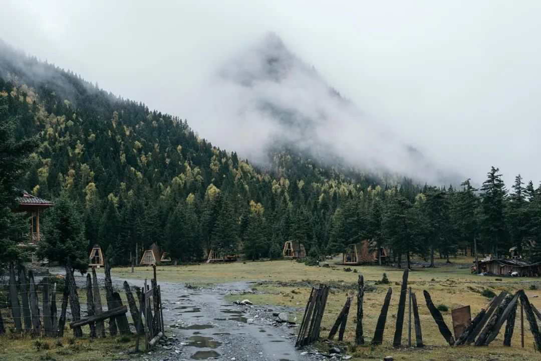 高端民宿一年营业成本600万,年赚百万的旅游民宿