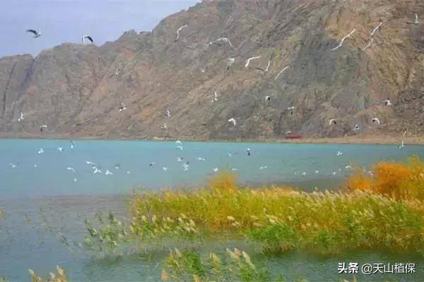 新疆的图木舒克市在什么位置,新疆的图木舒克是在北疆还是南疆