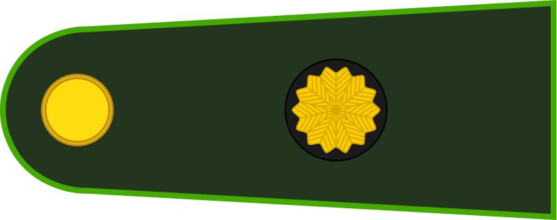 各国军衔标识俄罗斯,各国军衔标识