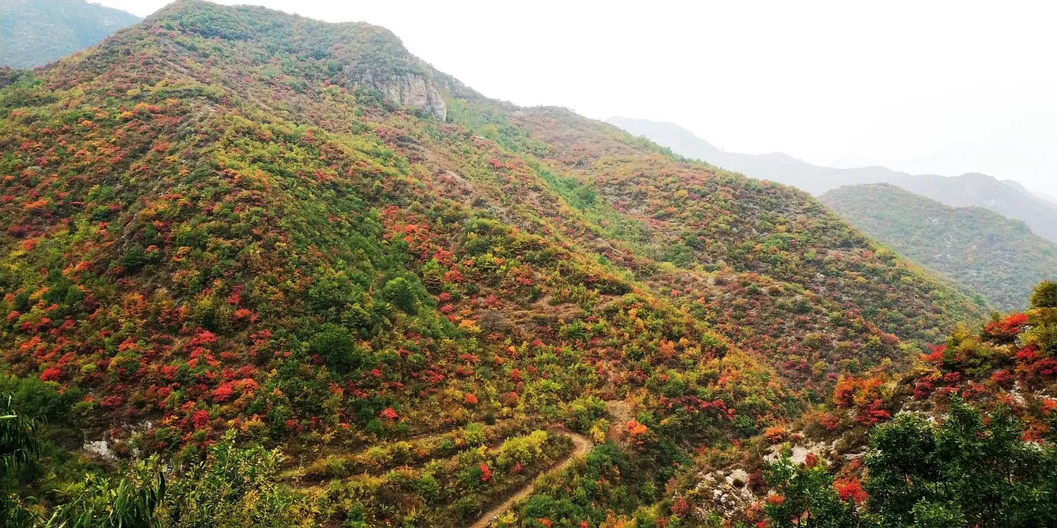 山西康养避暑胜地,山西长治康养圣地