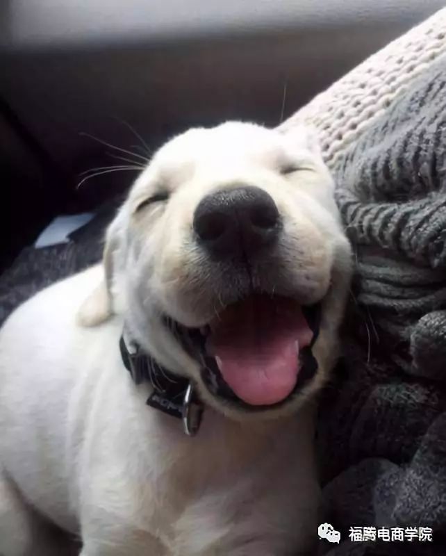 注册淘宝账号必须用手机号吗,可以用邮箱号注册淘宝账号吗