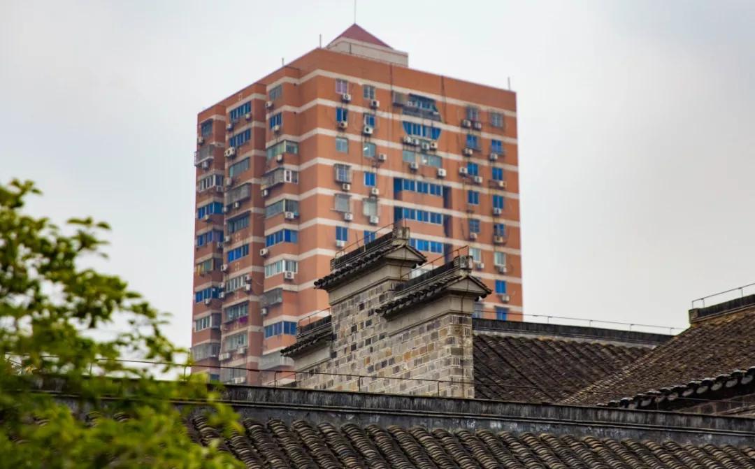 南京腊梅最佳观赏时间,南京赏梅花景点推荐