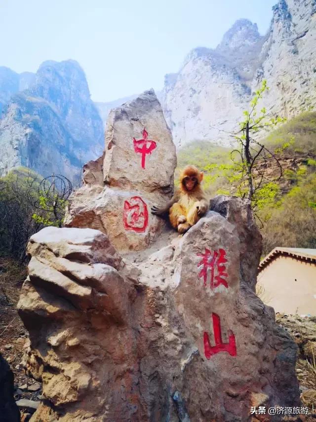 春暖花开踏青热，五龙口景区迎来春游小高峰！