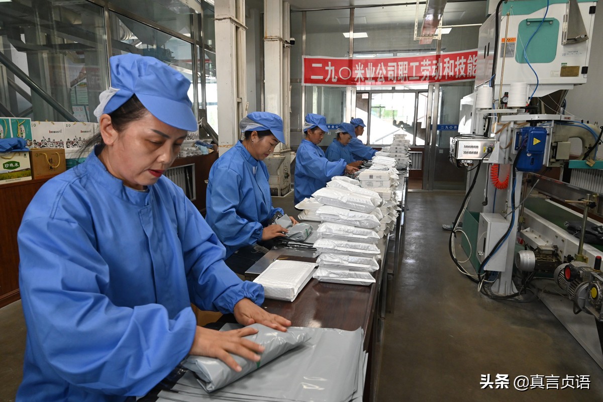 胚芽米：重新定位健康生活品质——对话二九〇农场米业经理李乃军