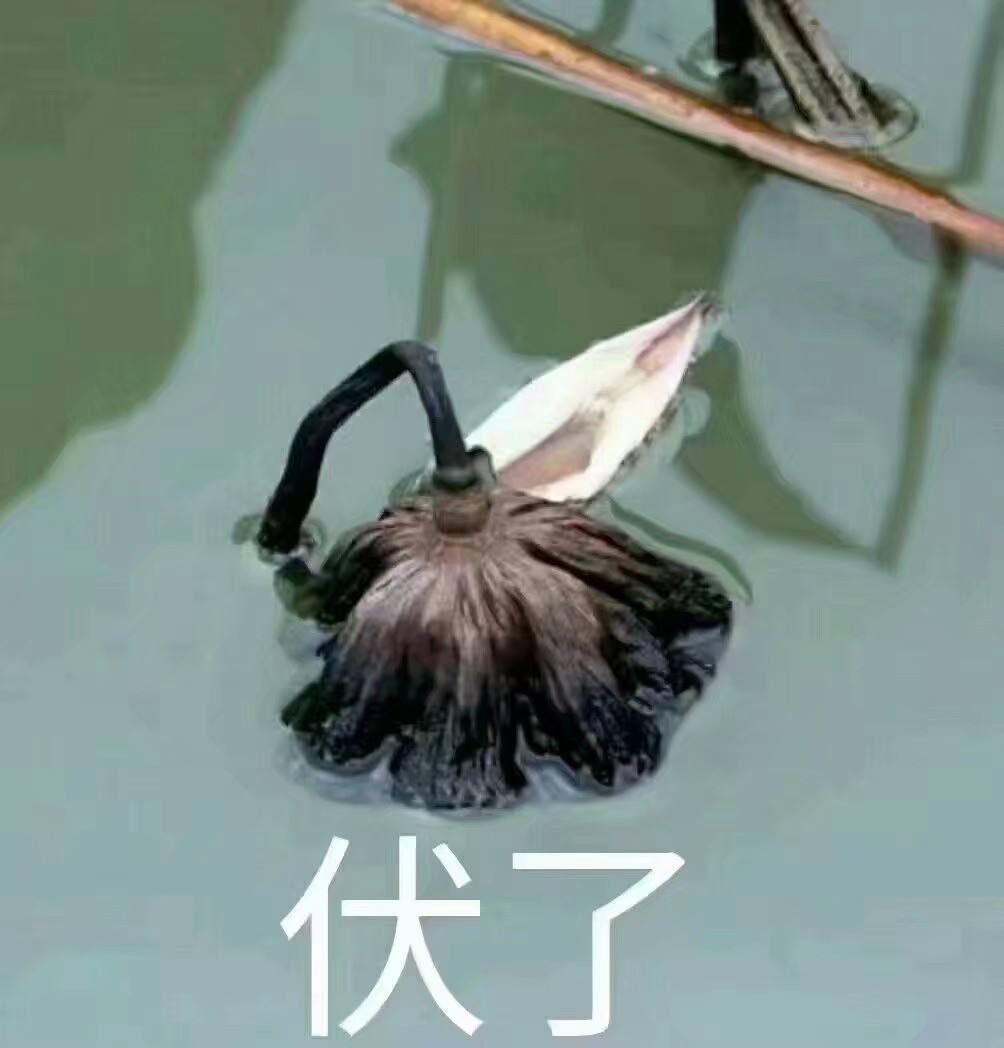 广州恒大在建最大足球场,广州恒大足球场设计方案曝光