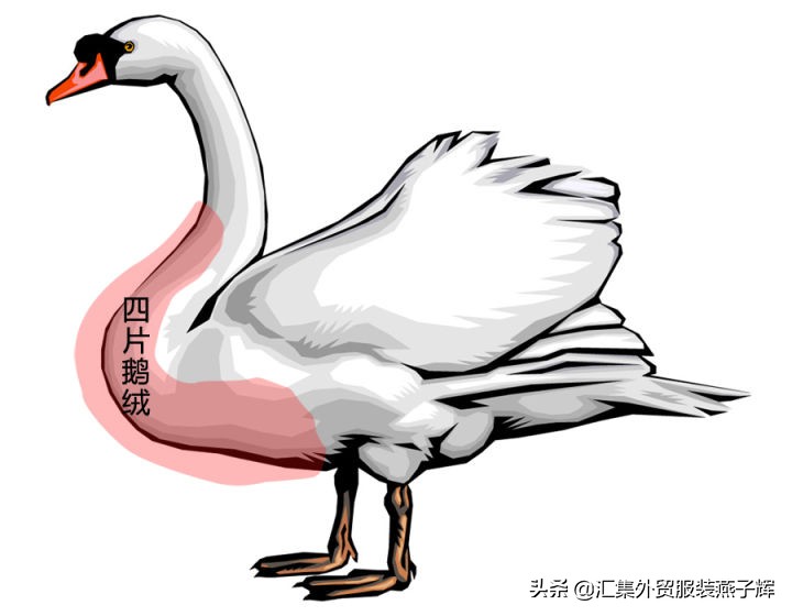 moncler20000走秀羽绒服,moncler羽绒服1952限量款黄色