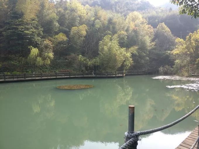 上海自驾舟山桃花岛游路线推荐,从上海去桃花岛如何安排行程