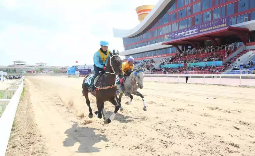 閿℃灄閮嫆鐩熻崏鍘熺數绔炰簤闇歌禌,閿℃灄閮嫆绗竴灞婅崏鍘熺數绔炲槈骞村崕