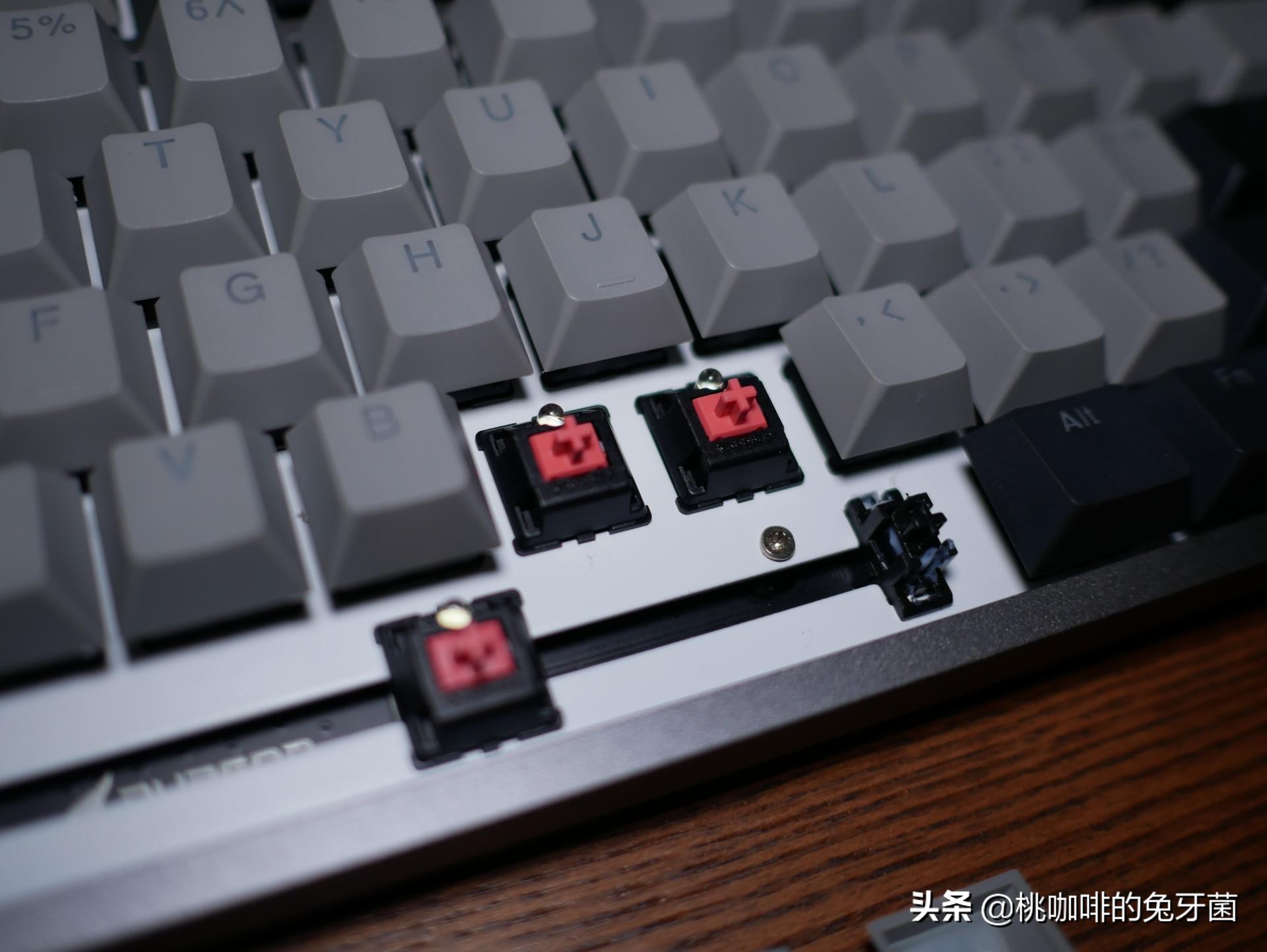 让我们一起安静的“码字”吧，杜伽K310静音红轴使用体验