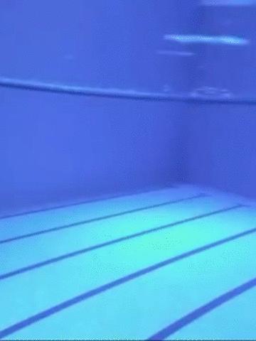 全红婵超模,超模祝贺全红婵夺冠