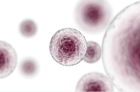 肠道发炎该怎么解决,肠道发炎怎么好得快