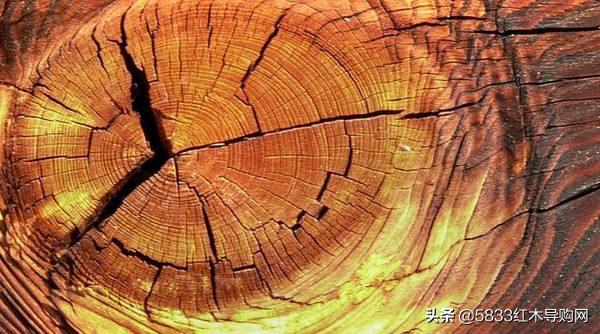 木头的臭味,木头的臭味可以用白醋去除吗