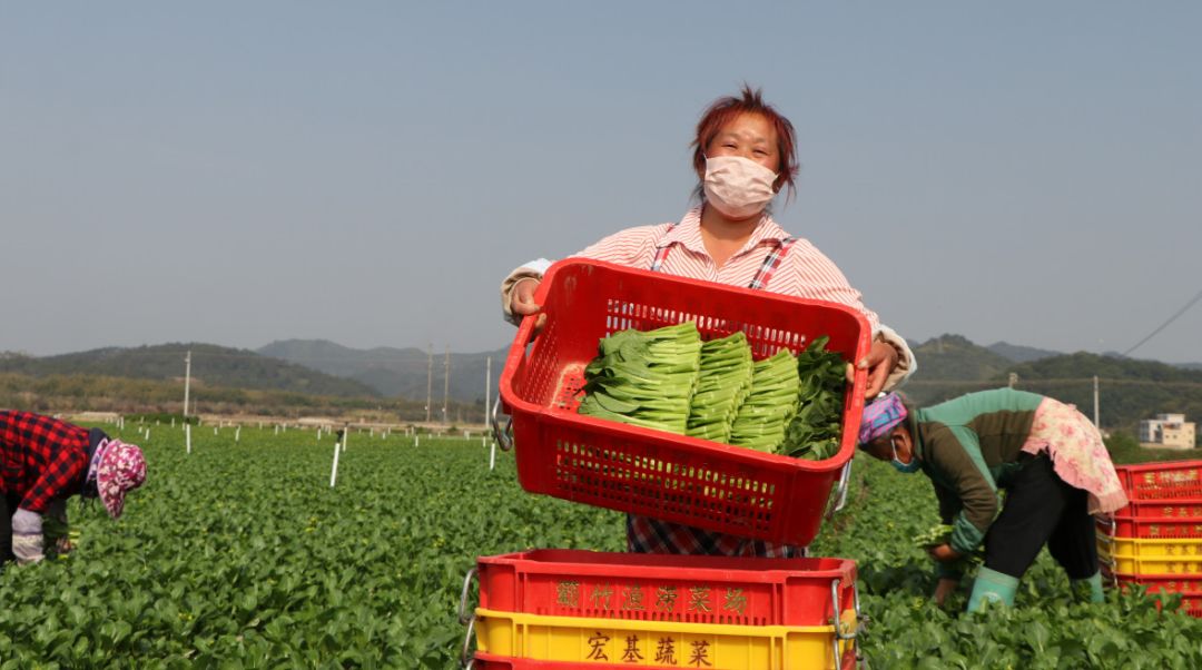 冬夜漫长而艰辛,冬夜漫长而寒冷
