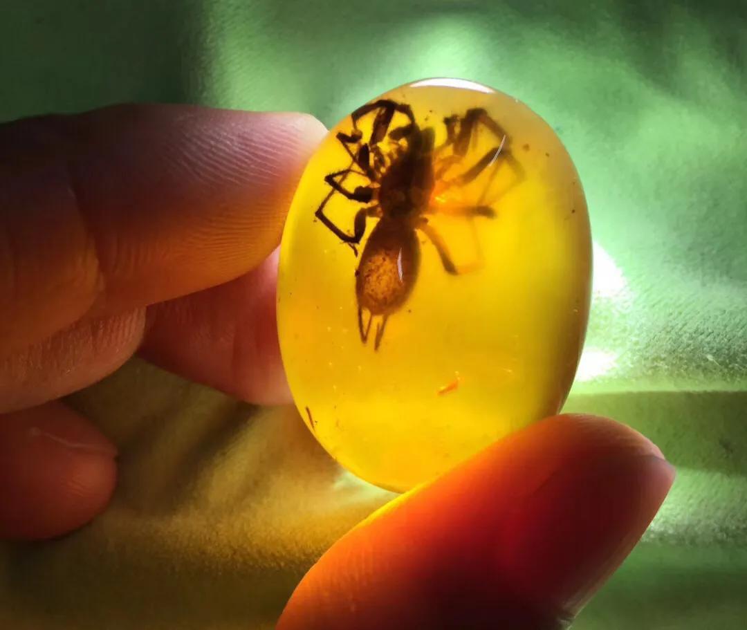 缅甸琥珀解密,缅甸琥珀2018走势