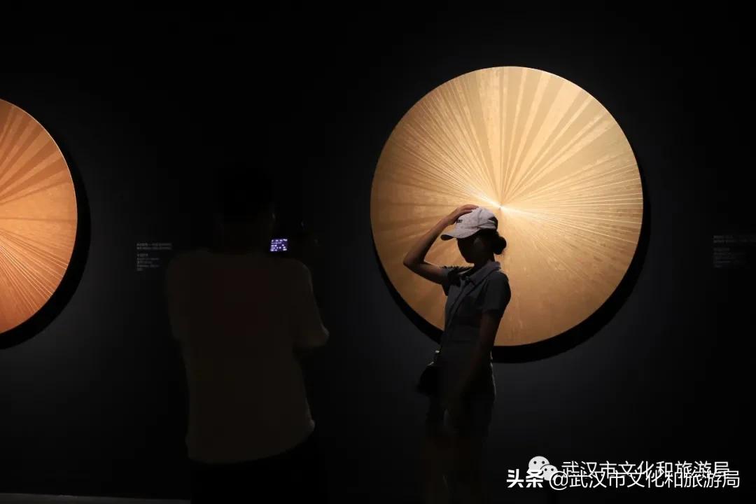 武汉12月秋季枫叶和银杏叶美景,枫叶银杏的美景最新