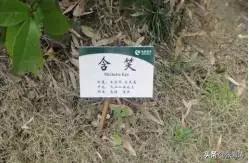 物业超值服务标准,物业贴心服务清单