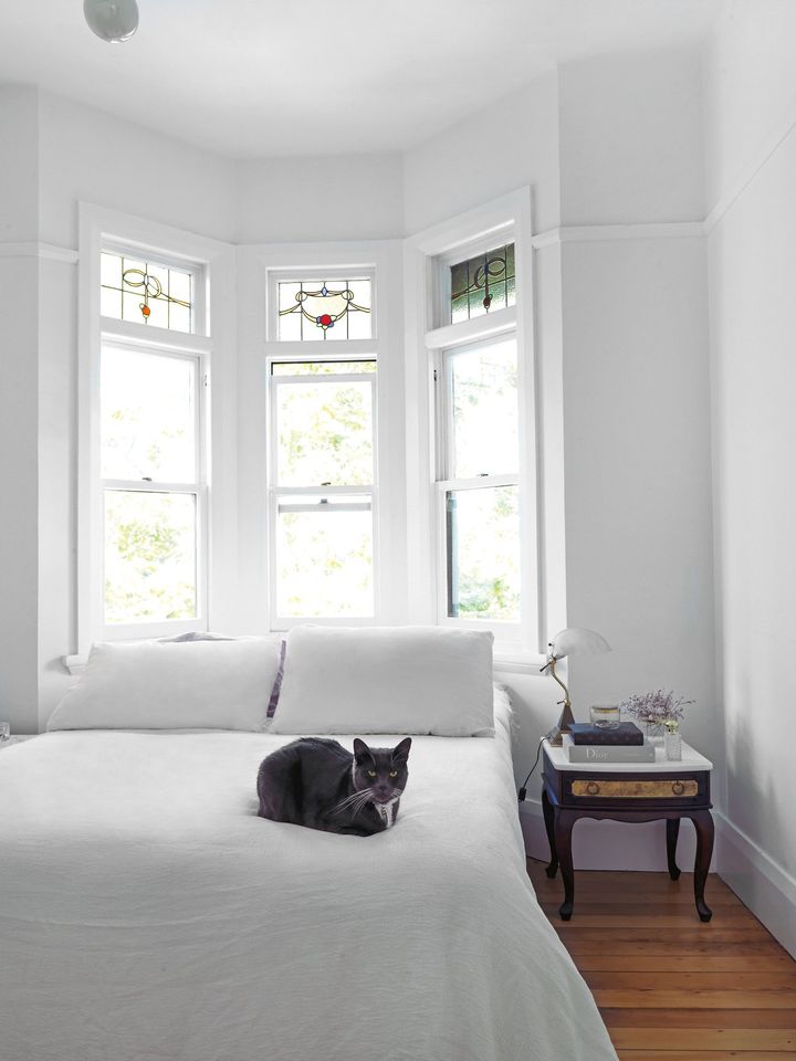 在新西兰奥克兰生活,在新西兰生活的优势