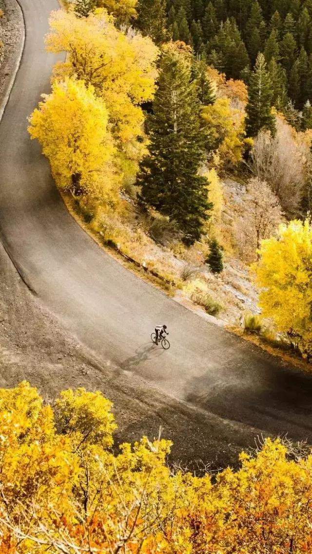 秋天落叶一拍都是一幅画,秋天的景色美得好像一幅画