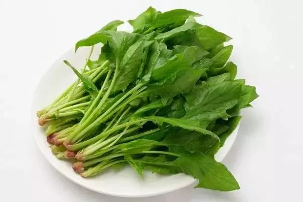 嘴唇干裂爆皮治哪个脏腑虚,嘴唇干裂是哪个内脏有问题