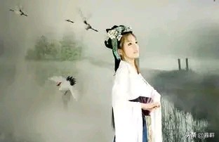 单单喜欢你免费观看,单单喜欢你歌曲