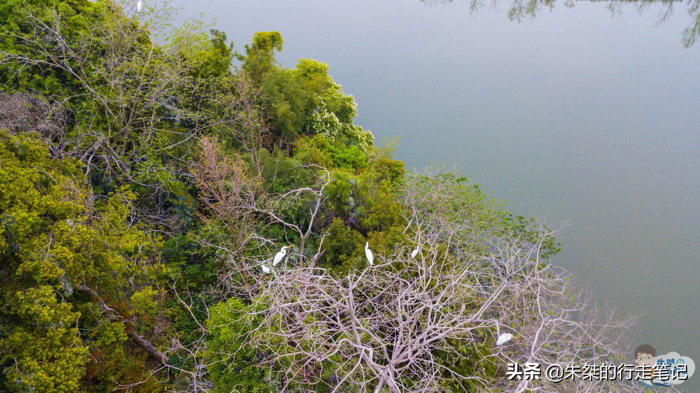 温州山上好看的风景,温州雁荡山风景实拍