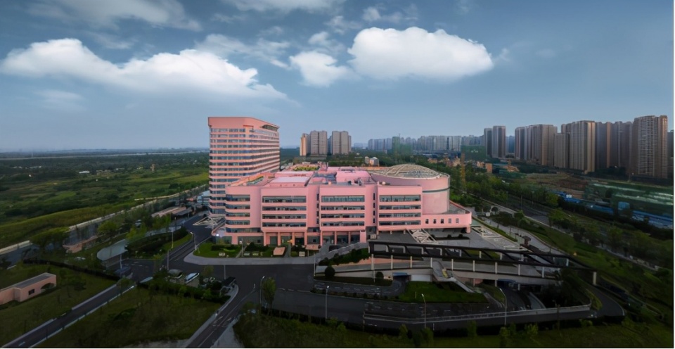 禹洲集团成都公司,禹洲集团的商业板块