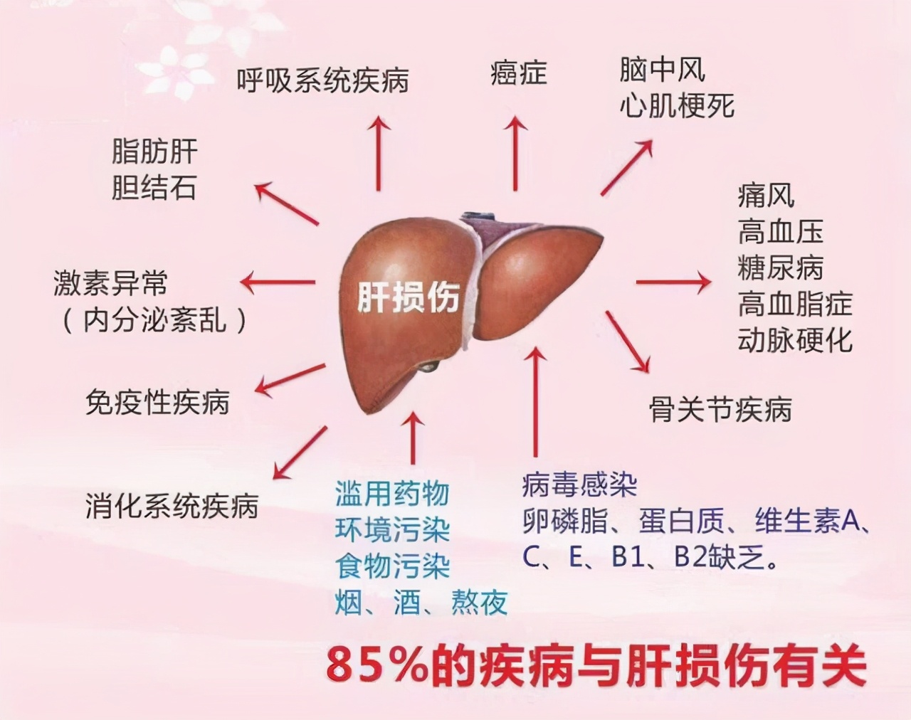 肝损伤会引起哪些疾病,肝损伤会引起哪些疾病的发生