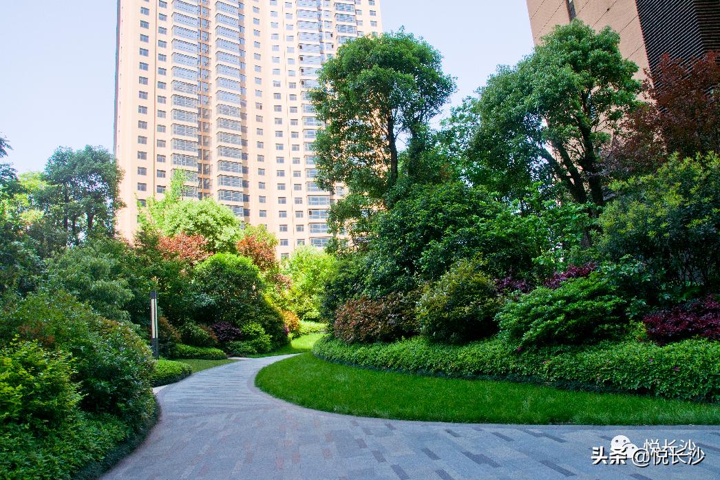 横扫长沙楼市的大平层，最后62套！212平做3套房，户型惊艳