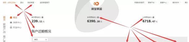 淘宝客如何推广赚钱,淘宝客推广的盈利模式