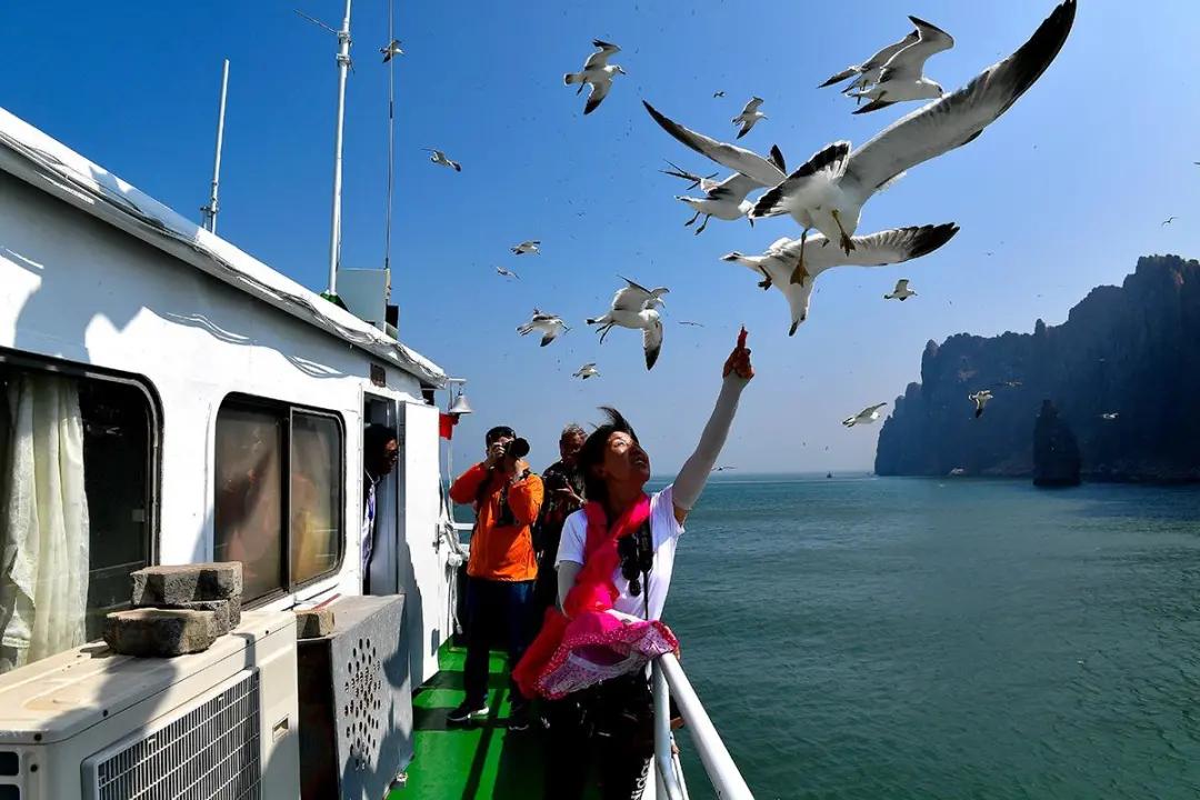 烟台海岛一日游有哪些推荐,烟台海岛渔村旅游攻略
