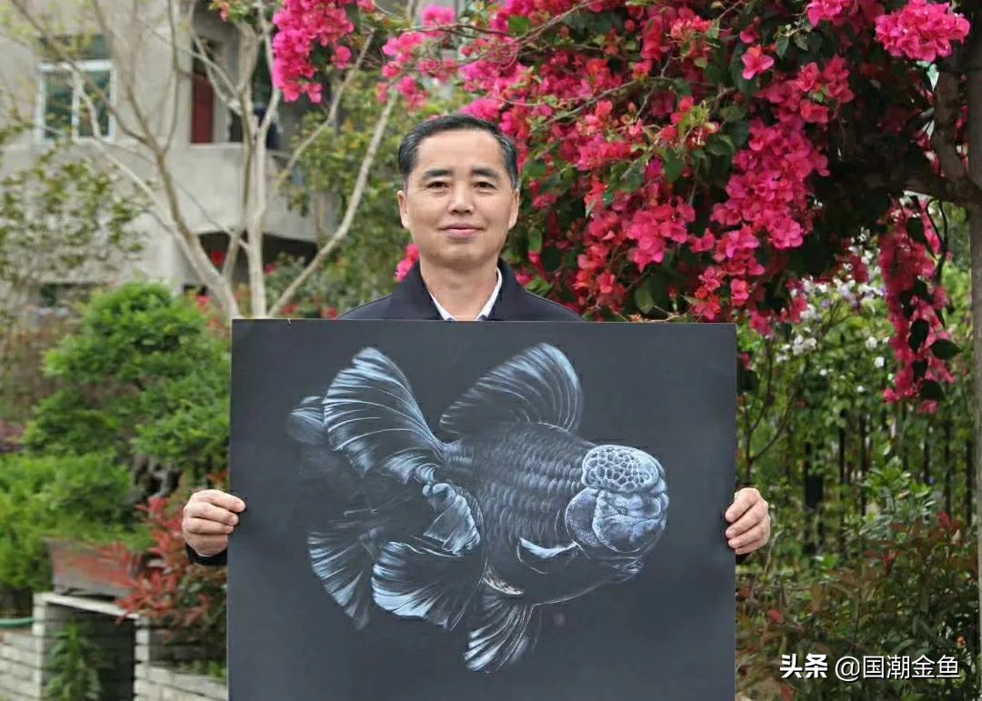 最有特色的金鱼,传统老三样金鱼