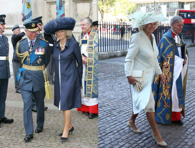 卡米拉减肥20斤,卡米拉最后出席的活动