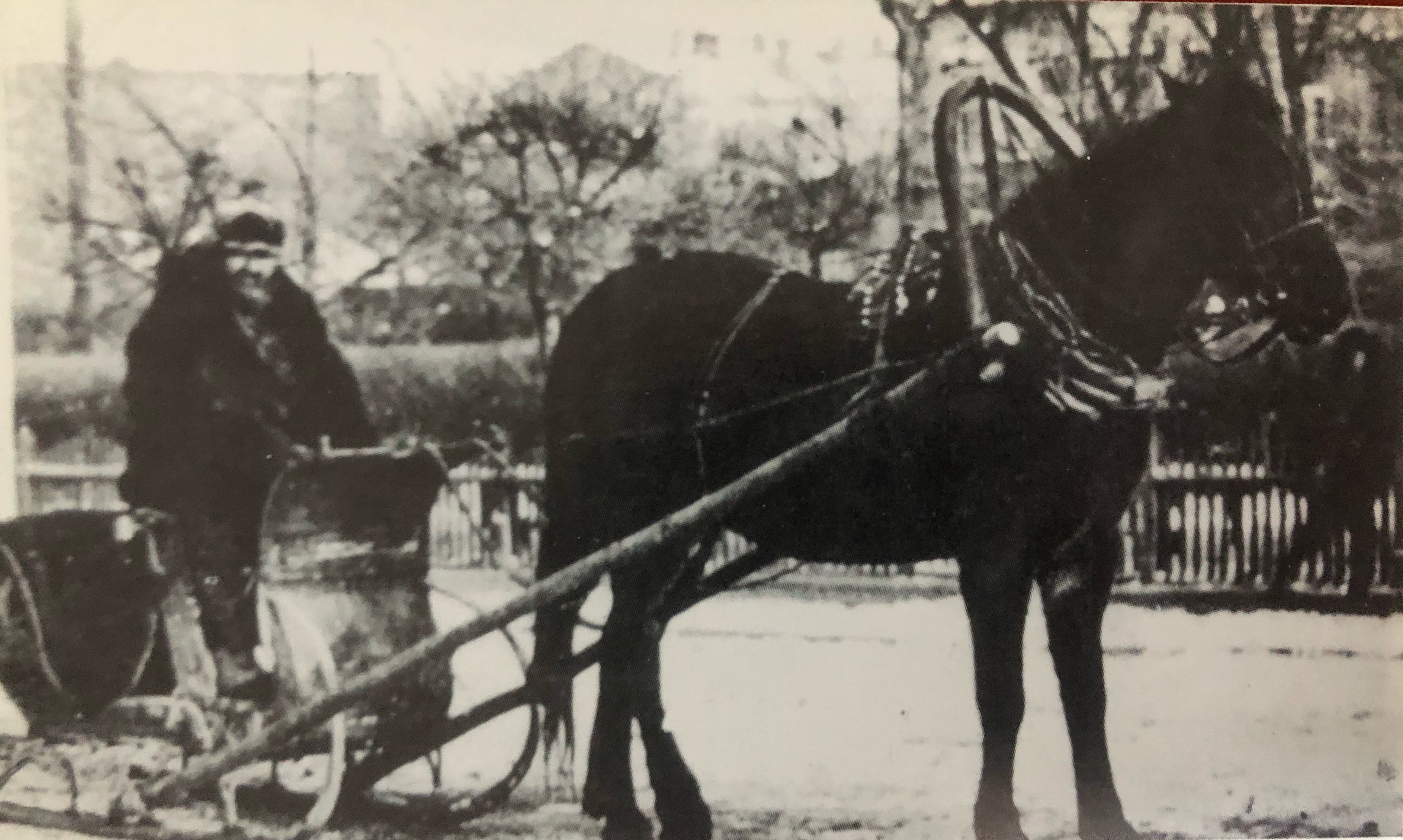 哈尔滨70年代动力区前进街老照片,哈尔滨老市政府大楼老照片