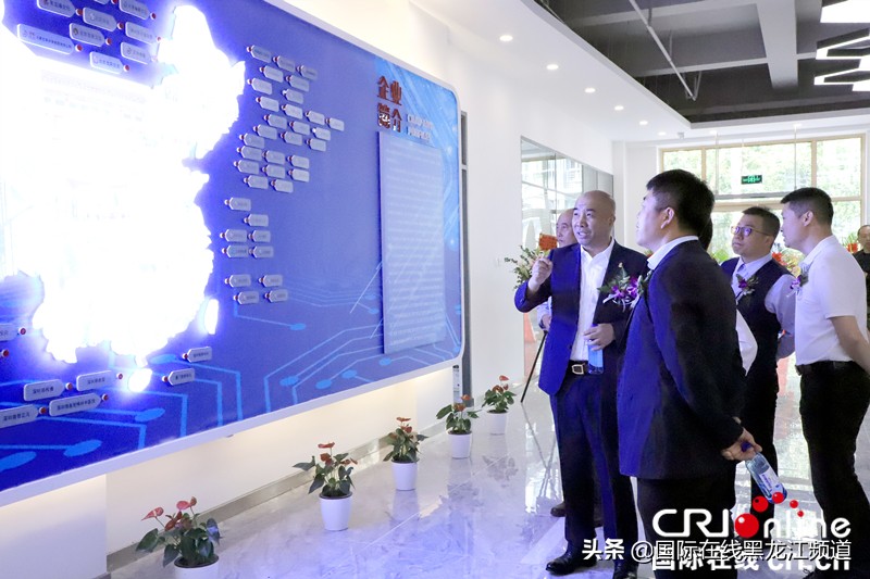 龙采科技未来发展,龙采科技靠谱吗