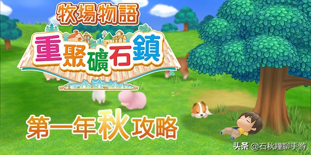 牧场物语重聚矿石镇操作攻略,牧场物语重聚矿石镇第一年秋攻略