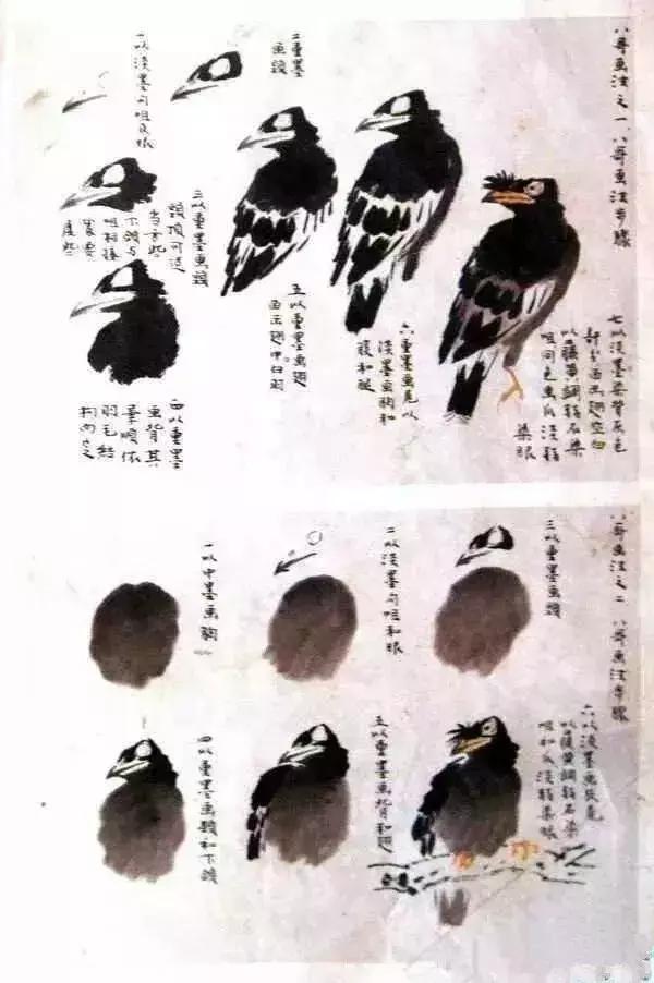 写意花鸟配景石的画法,干货写意花鸟类的画法