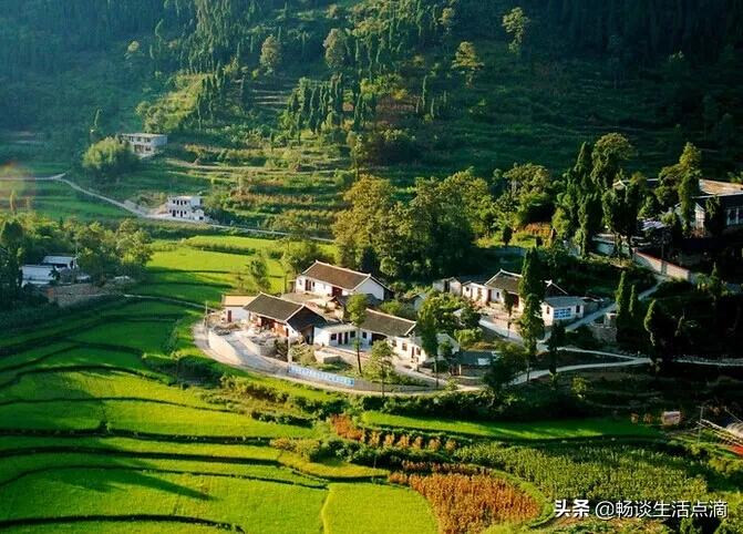 夏天庭院怎么驱除蚊子,夏天小院防蚊子妙招