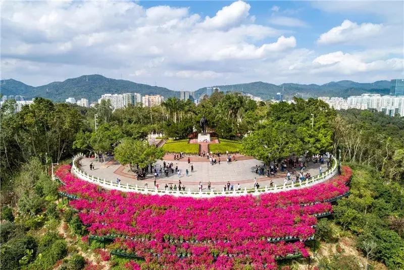 深圳莲花山看深圳风景,深圳莲花山有什么特别的地方